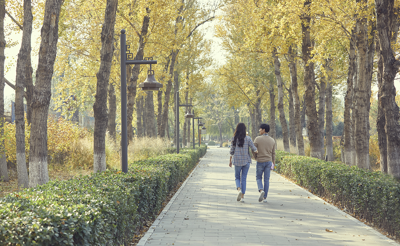 에코힐링 프리미엄